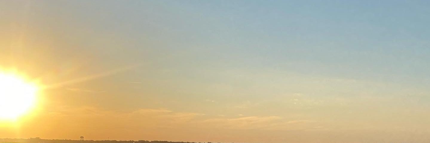 malyssai's profile banner image