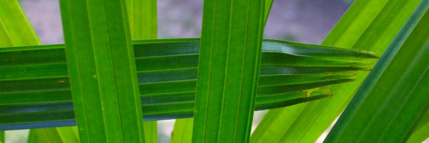 🅼🅰🆁🅲🆄🆂 banner