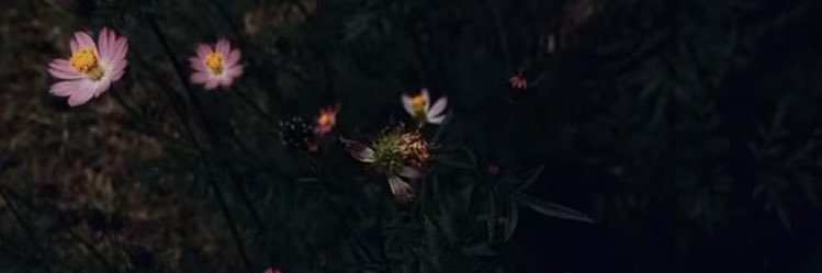 Brsnaksy's profile banner image