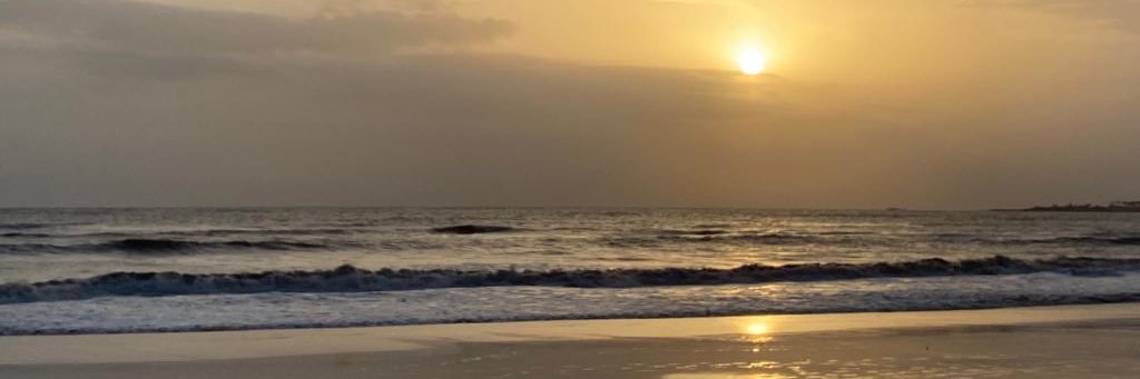 vidishad_'s profile banner image