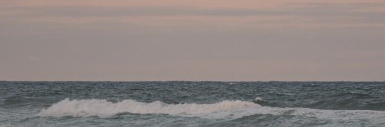 wonwonu96's profile banner image
