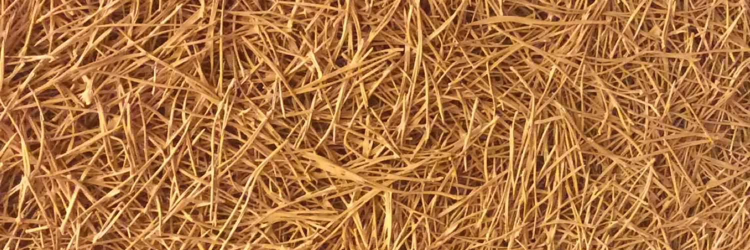 fluida's profile banner image