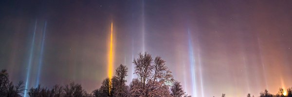 BirdAviation Profile Banner