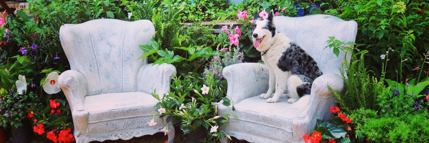 GoodEarthGarden's profile banner image