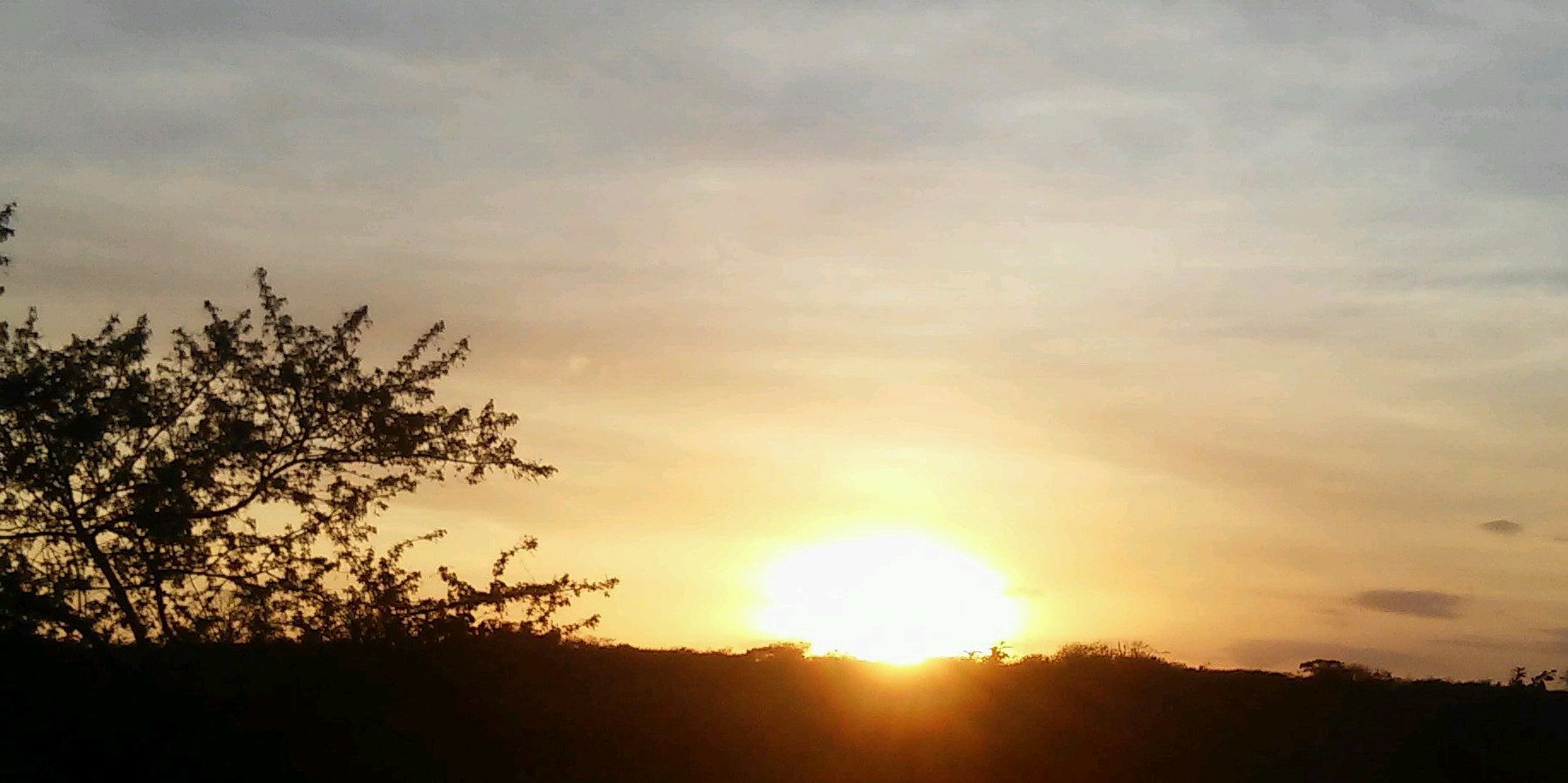 1lerdo's profile banner image
