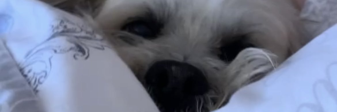 Courtneymcleay5's profile banner image