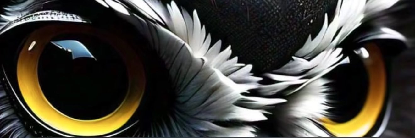 3CPhotograpia's profile banner image