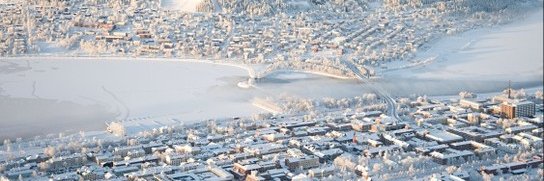 ᚠᚱᛖᛞᛞ ᛁᚾvᛖᛋᛏ banner