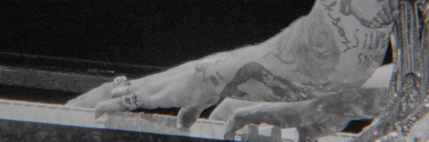 ❦ banner