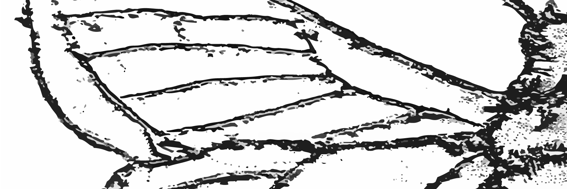 MothlightFilms's profile banner image