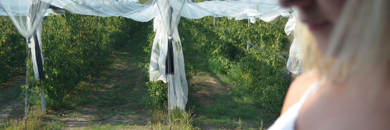 LucreziaChignon's profile banner image