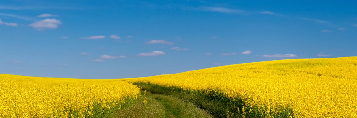 WineDrinkerSeekingClarity banner