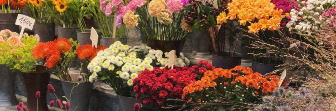 MARFXS's profile banner image