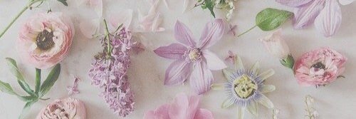 mizky26's profile banner image