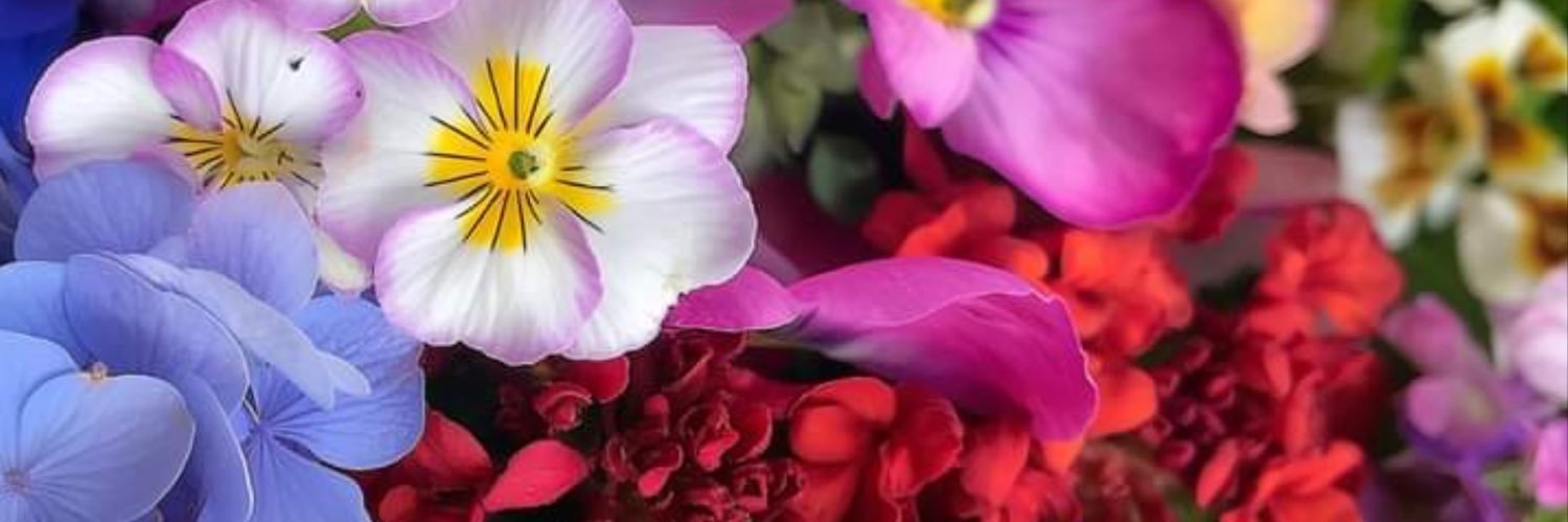 fanibelle_'s profile banner image