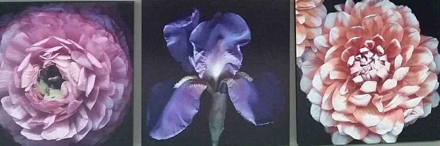 erindbowers's profile banner image