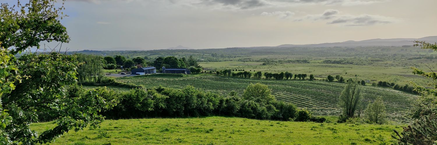 William Conlon banner