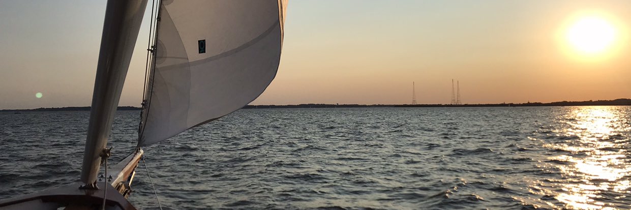 bartielouscott banner