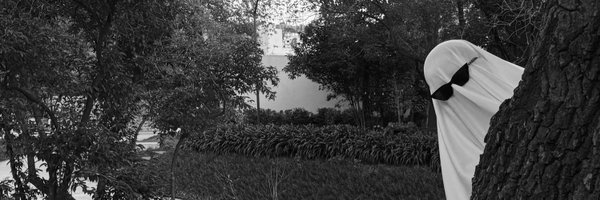 majolpl Profile Banner