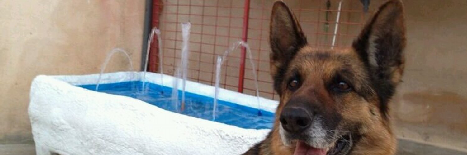 aitor_valdes's profile banner image