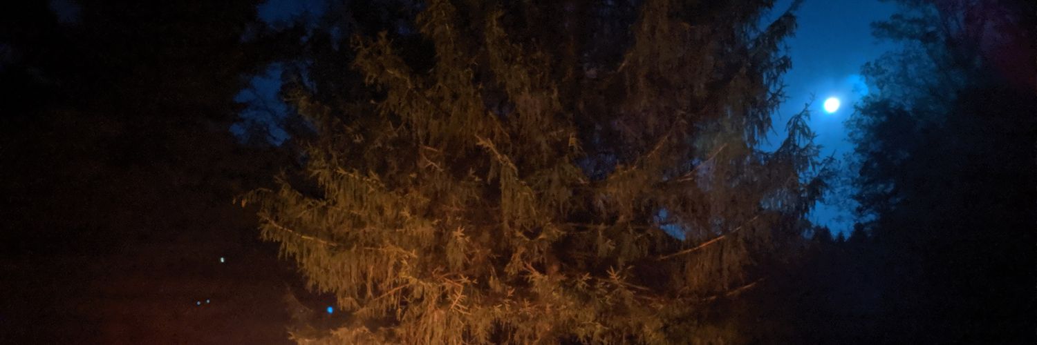 SuperDanMario's profile banner image