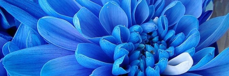 SummersXo's profile banner image