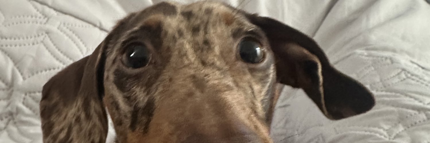 LewisWaldon's profile banner image