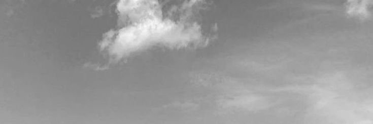 PYitani's profile banner image