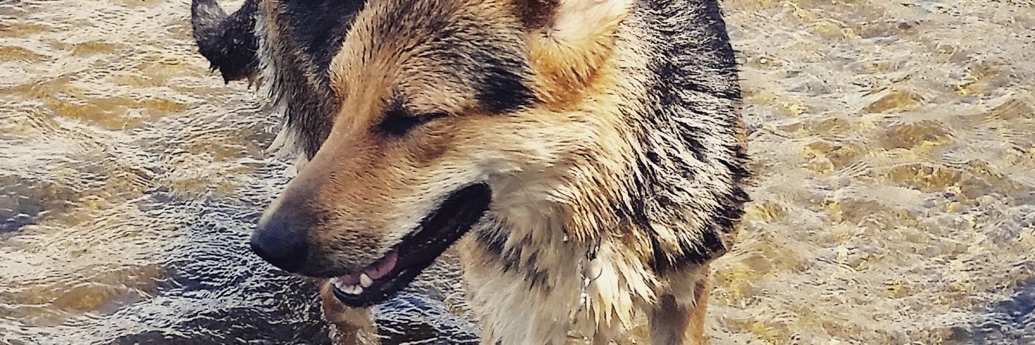 TenorSaxCutie's profile banner image