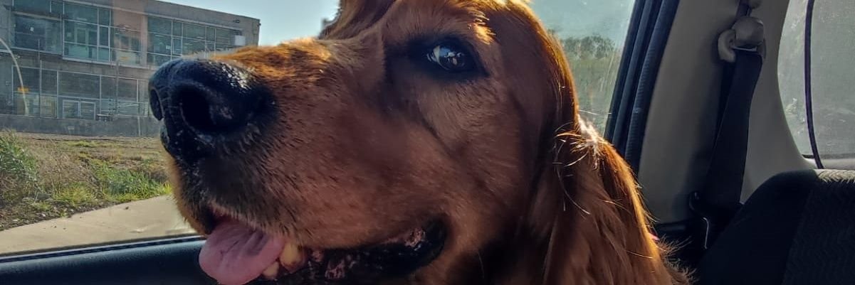 gloiglo's profile banner image
