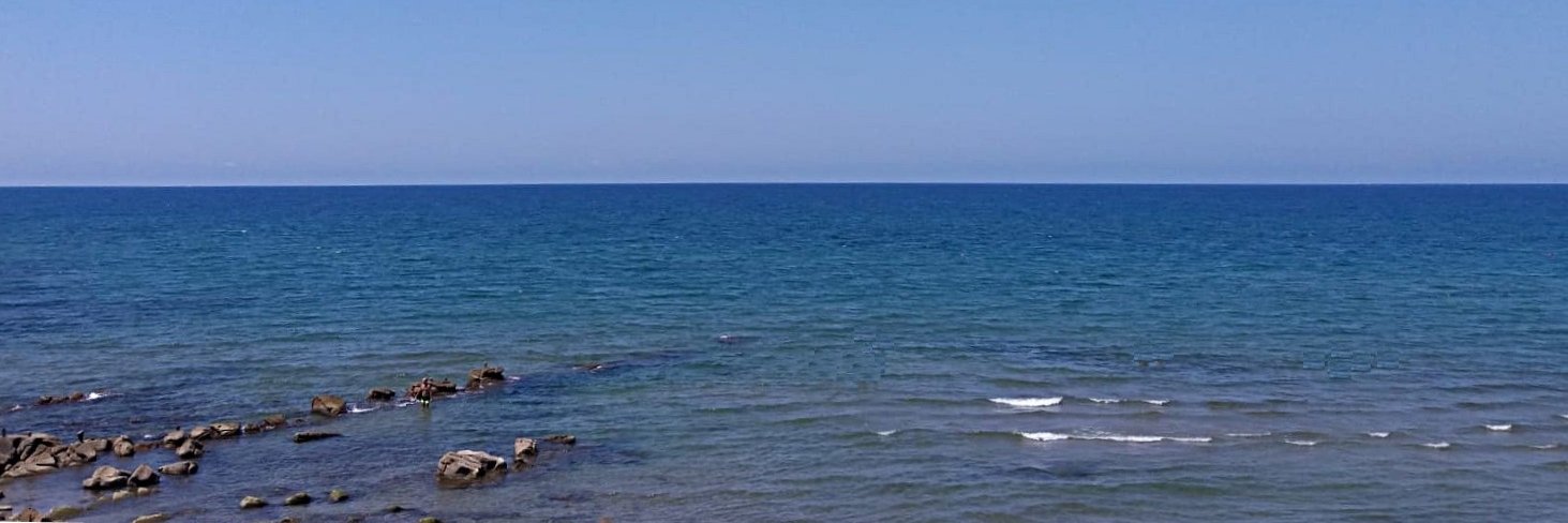ZenZenit369's profile banner image