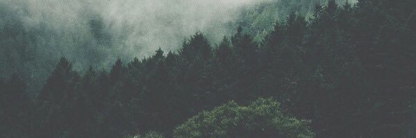 TYeoward23's profile banner image