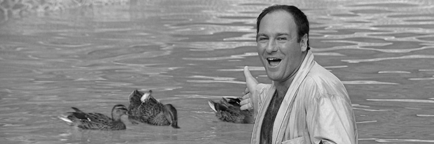 ⭕ Eric Villemin banner