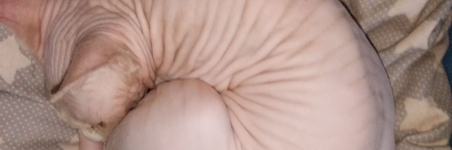 Contxi_Cuervo's profile banner image