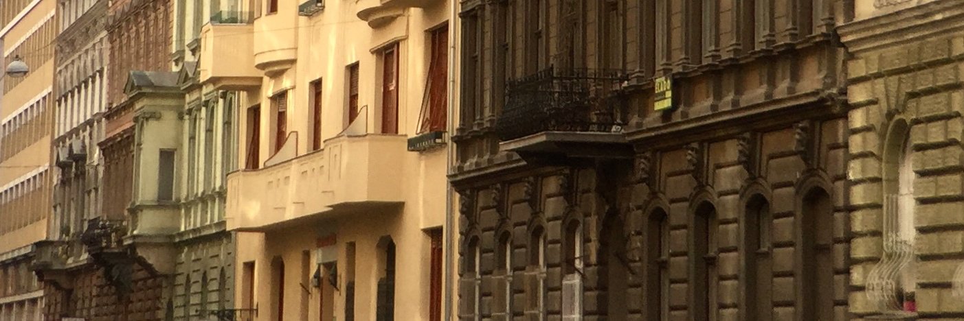 lassanyit's profile banner image