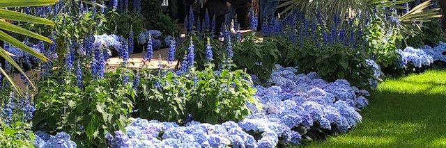 DarcyLeeDesign's profile banner image
