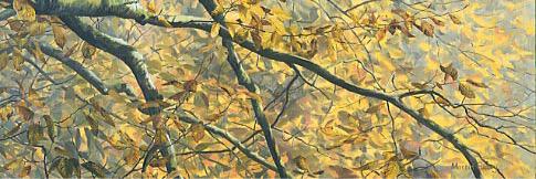 Laguial's profile banner image