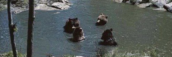 Mitch_Coomes Profile Banner