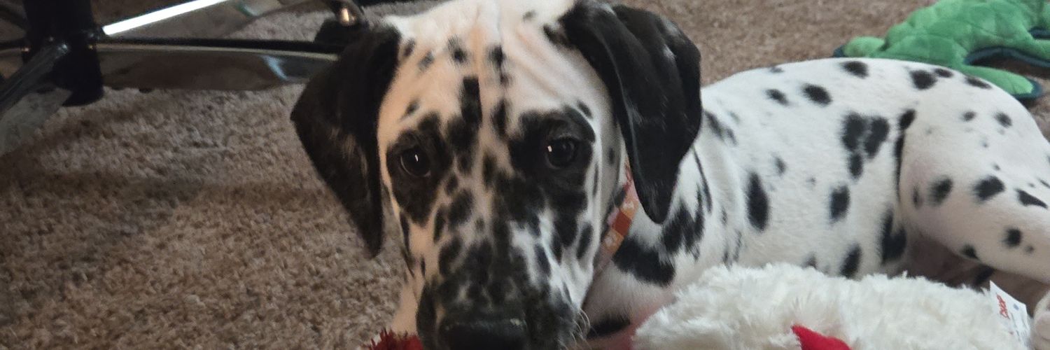 CriddleAlex's profile banner image