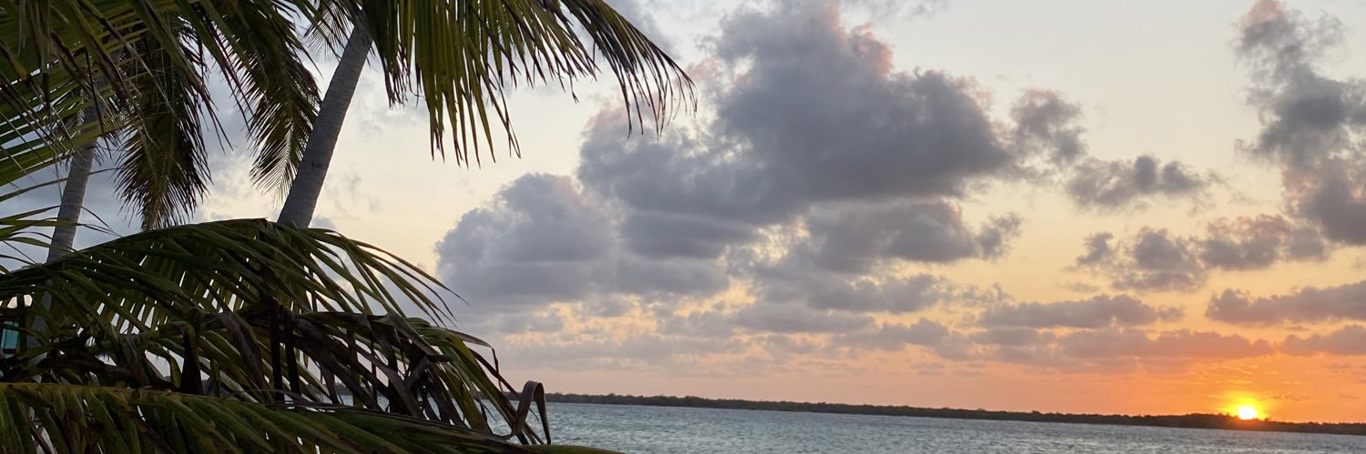 LAvaneness's profile banner image