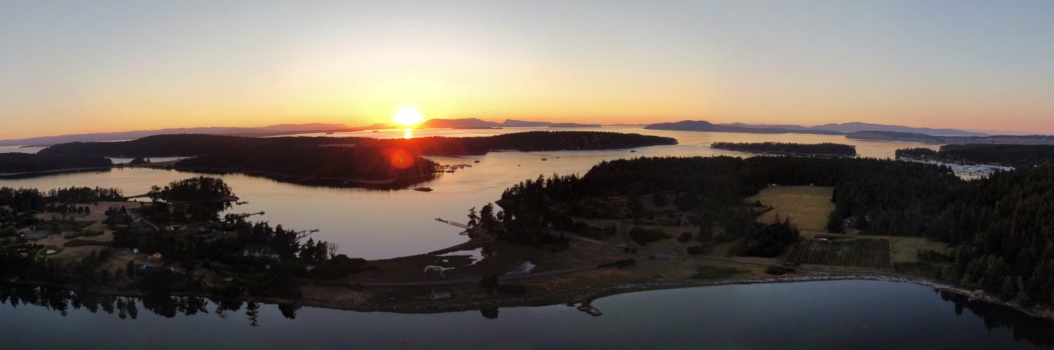 Niles (i found you) banner