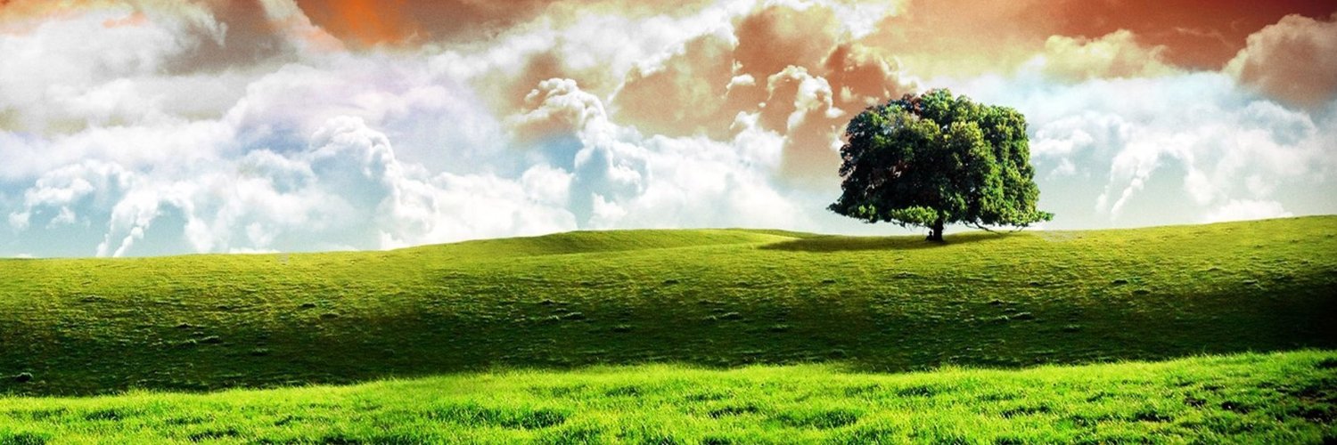 vinay_jadon's profile banner image