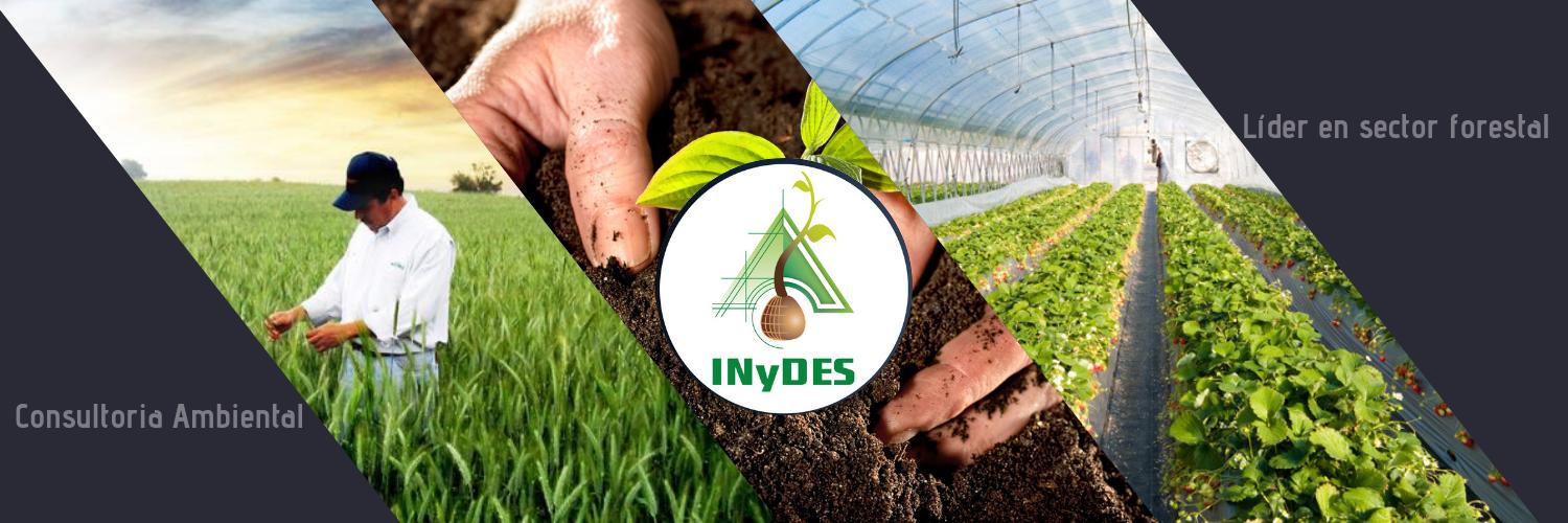 Inydes's profile banner image