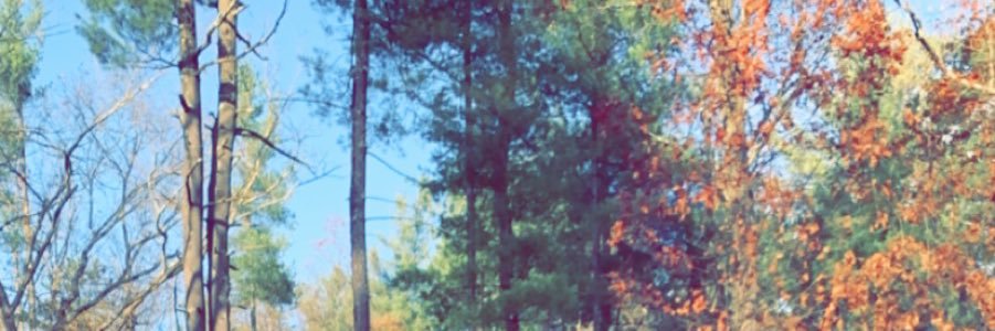 caleigh1caleigh's profile banner image