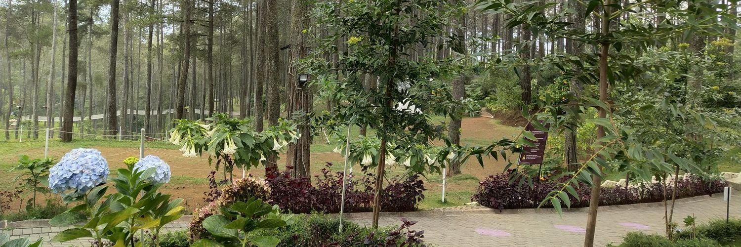 AgrPenny's profile banner image
