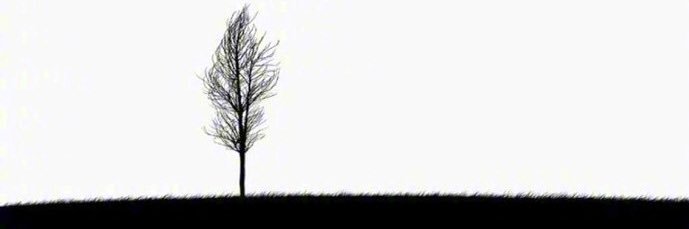 XSL1997's profile banner image