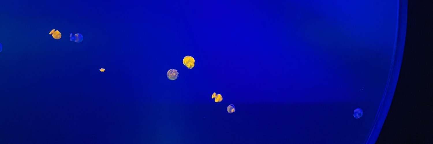 AlexiaBribi's profile banner image
