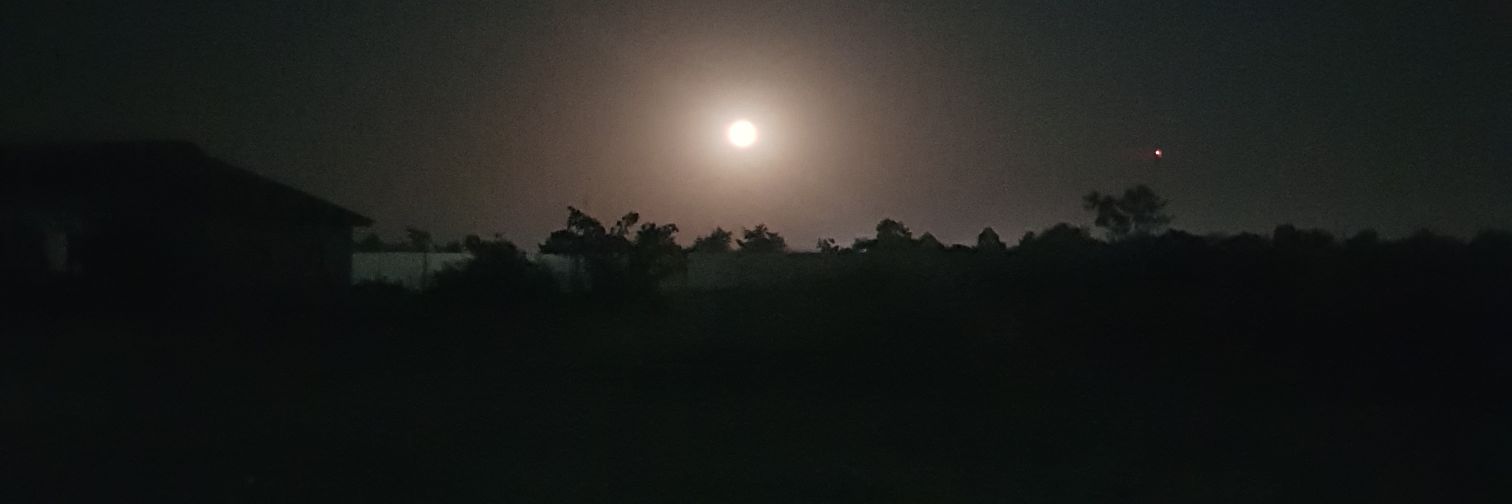 Moby Wan Kenobee banner