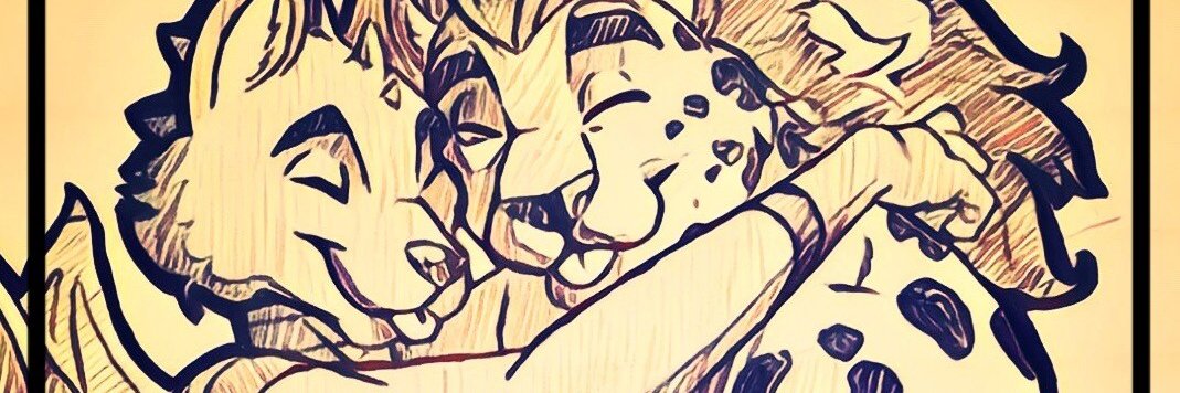FinnTheDrox's profile banner image