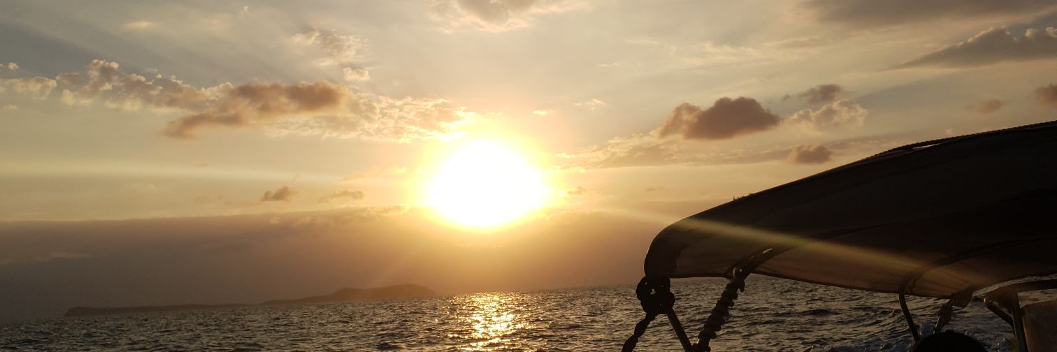 watto4994's profile banner image